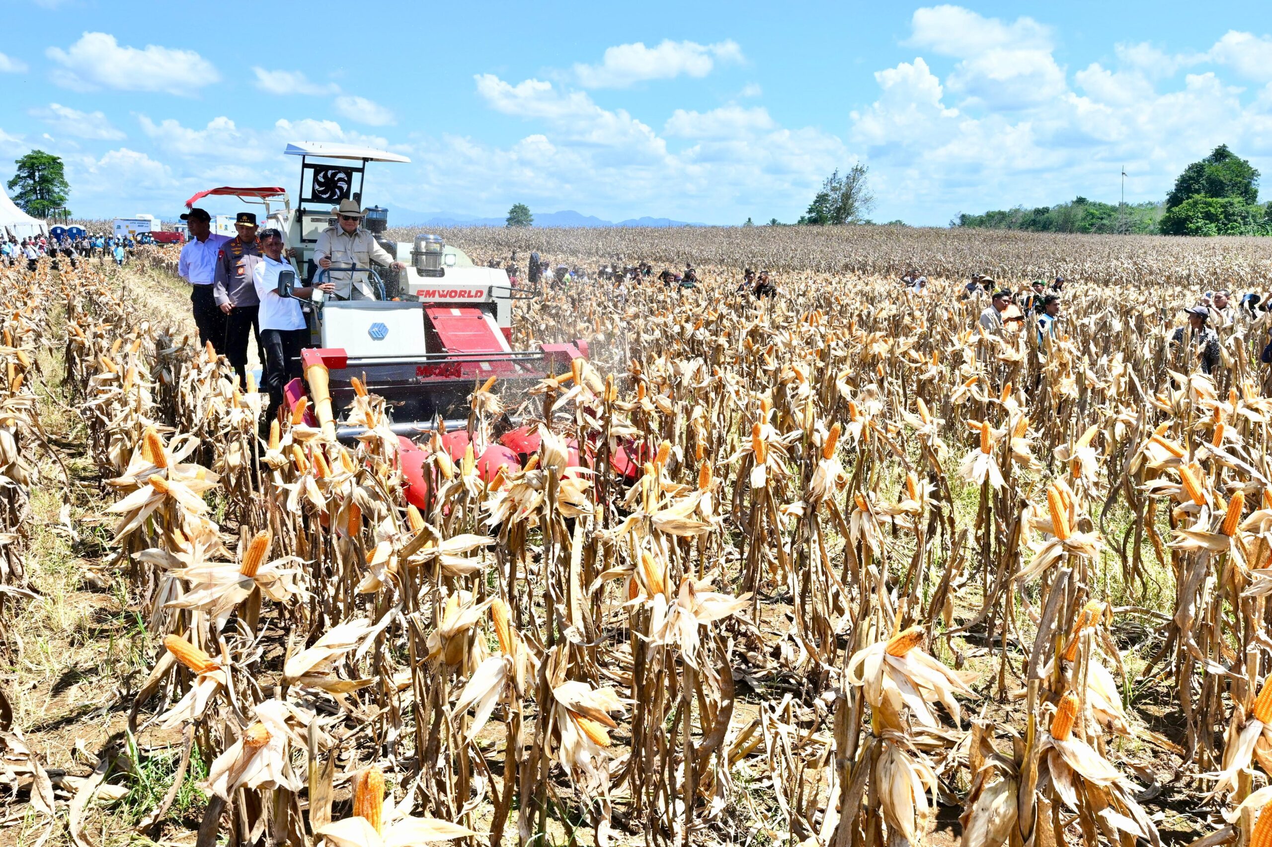 Presiden Prabowo: Indonesia Siap Menjadi Lumbung Pangan Dunia dengan Panen Raya Jagung 344 Ribu Hektare