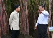 Dorong Swasembada Gula: Wapres Ajak Sinergi Pemerintah Pusat dan Daerah