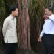 Dorong Swasembada Gula: Wapres Ajak Sinergi Pemerintah Pusat dan Daerah