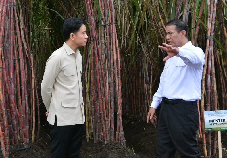 Dorong Swasembada Gula: Wapres Ajak Sinergi Pemerintah Pusat dan Daerah