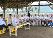 Panen Tebu Banyuwangi: Wapres Dukung Swasembada Gula