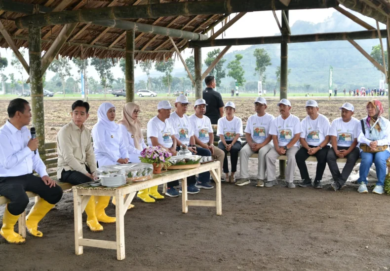 Panen Tebu Banyuwangi: Wapres Dukung Swasembada Gula