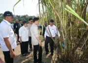 Wapres Dorong Swasembada Gula dengan Teknologi Modern dan Partisipasi Anak Muda