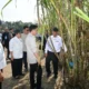 Wapres Dorong Swasembada Gula dengan Teknologi Modern dan Partisipasi Anak Muda